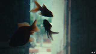 Someday the Night Will Come | LALIFF 2026