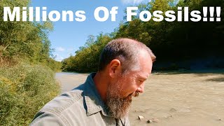 Fossil Hunting In Southern Ontario's Most Concentrated Fossil Bed. Rock Glen Conservation Area.