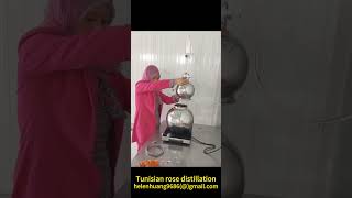 Tunisian rose distillation, use our 10L essential oil distiller