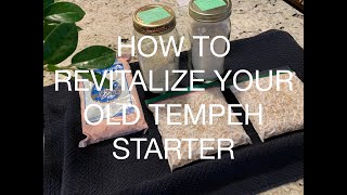 How To Revitalize Your Old Tempeh Starter