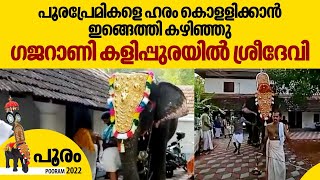 പൂരപ്രേമികളെ ഹരം കൊളളിക്കാന്‍ ഇങ്ങെത്തി കഴിഞ്ഞു ഗജറാണി കളിപ്പുരയില്‍ ശ്രീദേവി | Thrissur Pooram 2022