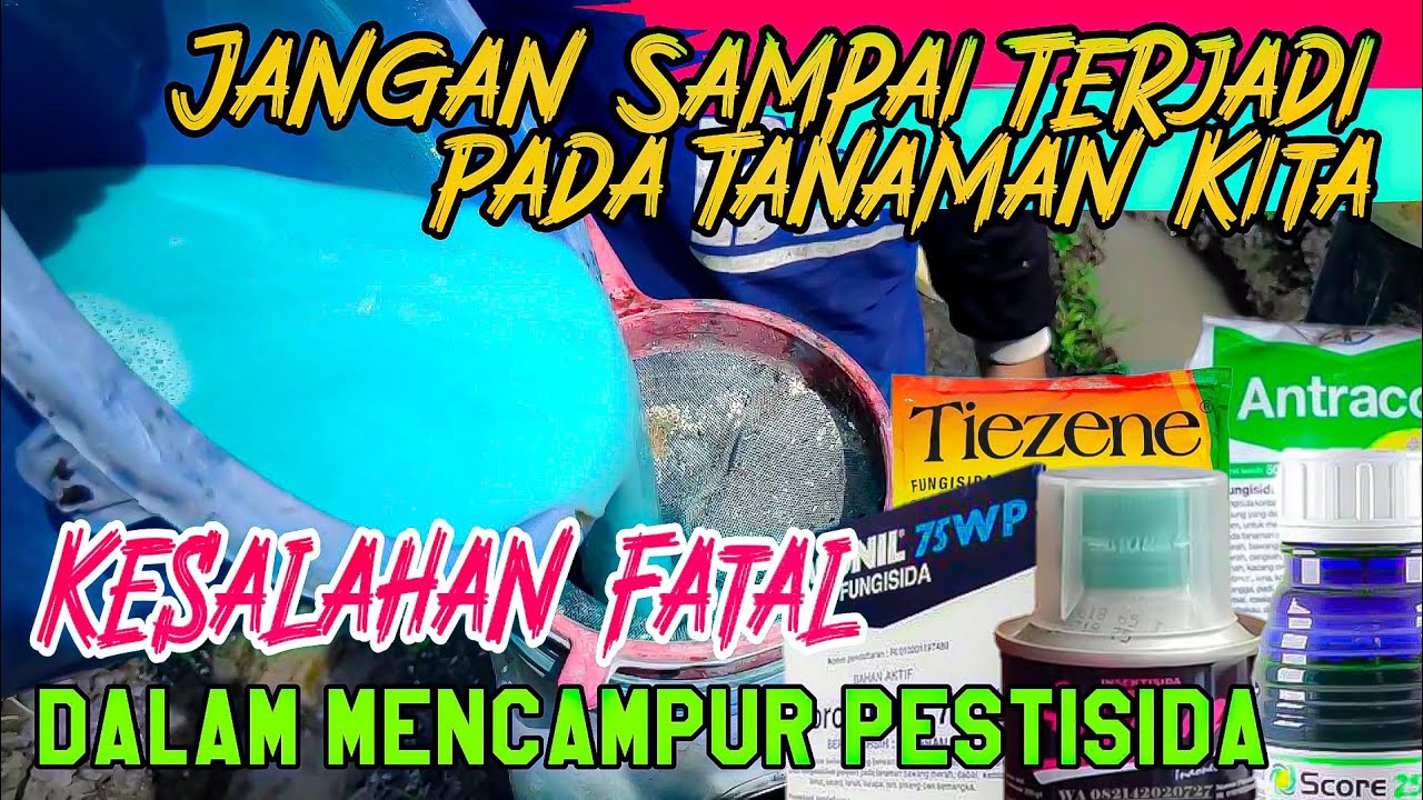 TEPAT SASARAN ️TEKNIK MENCAMPUR PESTISIDA ️ Dengan Tingkat Keberhasilan ...