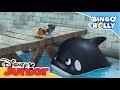 Bingo y Rolly: Momentos Mágicos - Rescatando a una amiga orca | Disney Junior Oficial