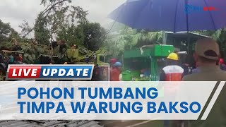 5 Orang Menjadi Korban akibat Pohon Besar Tumbang dan Menimpa Warung Bakso di Ujung Pandang Makassar