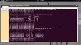Setting Up OpenStack Python Client Development Environment
