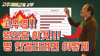 고추 재배교육 2부! 고추가 병걸리는 최대 원인은 이것!!! 예방은 어떻게??? | 농사 100단