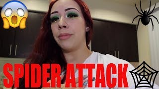SPIDER ATTACK CAUGHT ON CAMERA! BIGGEST YOUTUBE FAIL | Salice Rose