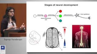 The 25th Annual Samuel Eiduson Student Lecture Award 2017 - - Supraja Varadarajan