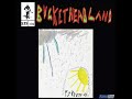 storm and stillness buckethead pike 535