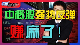 国会山股神佩洛西神秘建仓AI医疗股，值得注意！中概股强势上涨，老张赢麻了！#NVDA#TSLA#META#AAPL#中概股#美股