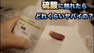 【実験】硫酸に触ってしまうとどれだけヤバかわかる動画