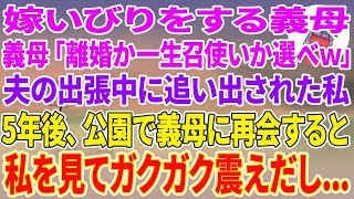 【スカッとする話】嫁いびり義母「離婚か一生召使いするか選べw」夫の出張中に追い出された私。5年後、公園で義母に再会すると私を見てガクガク震えだし…【スカッと】【朗読】【修羅場】