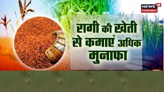 Annadata: रागी की फसल से कैसे कमाएं अच्छा मुनाफा ? | Agriculture | Farming in India | Ragi Ki Kheti