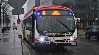 {NEW BUS} TTC 2019 Proterra Catalyst BE40 # 3731 ~ FULL Bus Ride on Route 6 Bay South