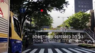 [1 minute guide] Omotesando, architectural showcase