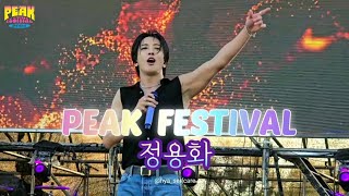 {팬캠} 정용화 full ver. - 240601 피크페스티발 DAY1