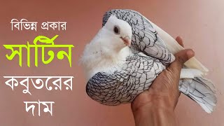 সাটিন কবুতরের দাম | Satin pigeon price in bd | Satinette pigeon price | Oriental frill pigeon