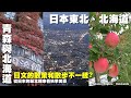 散策和散步有何差異?從日本北端開始來看秋景之美 ~ 到日本東北旅遊囉 ~  函館山｜夜景｜金森｜青森｜蘋果｜十二湖散策 Tohoku Region / Hokkaido