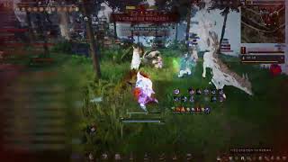 BDO KOR Succession Corsair Kamasylvia Node War (MZ vs 기사도 + 곰굴)