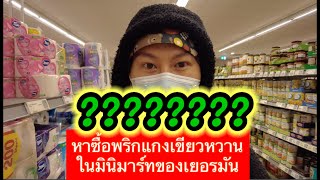 หาซื้อพริกแกงเขียวหวานในซุปเปอร์มาเก็ตเยอรมัน#อาหารไทยในเยอรมัน