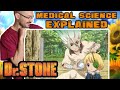 REAL Doctor Reacts to DR STONE Anime #2 | Medical science explained