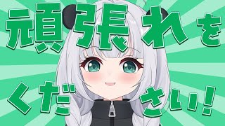 【#VPL】当日だああああ【新人Vtuber】