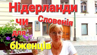 Українські Біженці Нідерланди VS Словенія 🇺🇦🇵🇾🇸🇮