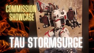 COMMISSION SHOWCASE - TAU STORMSURGE