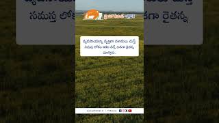 JHK Farmer Quote | Motivational quotes Telugu II Inspirational Quotes II Telugu Quotes| @JaiHoKisan