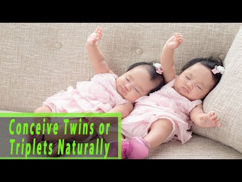 How to Conceive Twins or Triplets Naturally – How to Get Pregnant With Twins or Triplets Naturally How to Conceive Twins or Triplets Naturally – How to Get Pregnant With Twins or Triplets Naturally