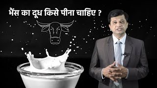 भैंस का दूध किसे पीना चाहिए? Buffalo milk qualities. Who should take it. by Dr. Snehalkumar Rahane