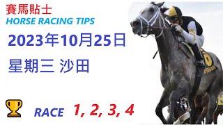 「賽馬貼士」🐴  2023年10 月 25 日 星期三 跑馬地 🐴    香港賽馬貼士  HONG KONG HORSE RACING TIPS  🐴 RACE   1  2  3  4  🏆