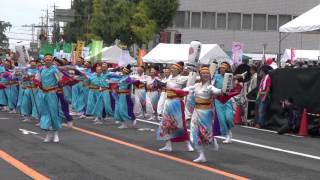 よさこい塾・ありがた屋（安濃津よさこい2015）二日目・大パレード①