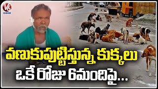 Street Dogs Strikes On Public In Korutla | Jagtial | V6 News