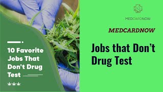 10 Favorite Jobs that Don’t Drug Test