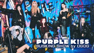 20241201ライブ配信【PURPLE K!SS】BUSKING SHOW by DGDG@ラクーアガーデンステージ