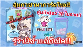 ROX : สุ่มการ์ดแพทใหม่ 20 ใบรวด By Halouis Home