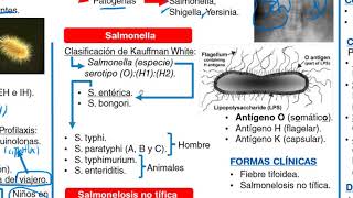 infectología - MEDICINA INTERNA