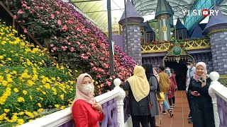 Visit to Cameron Lavender Garden, Cameron Highlands, Malaysia | APA YANG MENARIK? BERBALOI KE?