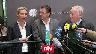 AfD-Spitze beschimpft Reporter bei Pressekonferenz | n-tv