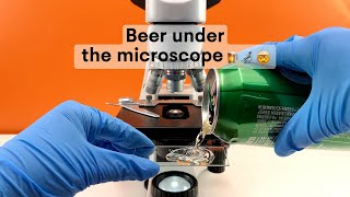 Would you still drink beer after watching it magnified 400 times under a microscope?