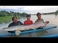 Predators Fishing Arapaima Pirarucu Fishing Thailand 2024- BKKGUY