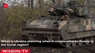 What is Ukraine planning when it counterattacks Russia in the Kursk region || Today's World 1689