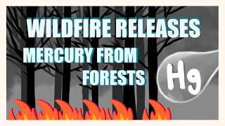 Wildfire Releases Mercury From Forest🔥 🪵🌲🌡