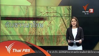 พลิกปมข่าว : นโยบายส่งเสริมการผลิตข้าวอินทรีย์กับชาวนาไทย (22 ธ.ค. 60)