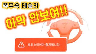 폭우속 테슬라 오토파일럿 실제반응