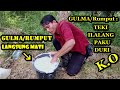 Cara Mudah Membasmi GULMA/Rumput Liar tanpa Racun Kimia