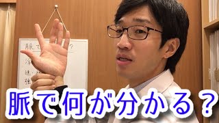 「脈で何が分かるの？」お答えします | 鍼灸よくある質問 | 京都 誠心堂にのみや鍼灸院