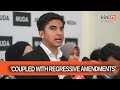 Citizenship amendments could create intergenerational statelessness, says Syed Saddiq