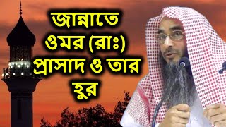 জান্নাতে ওমর (রাঃ) প্রাসাদ ও তার হুর | শাইখ মতিউর রহমান মাদানী | Hur | Sheikh Motiur Rahman Madani